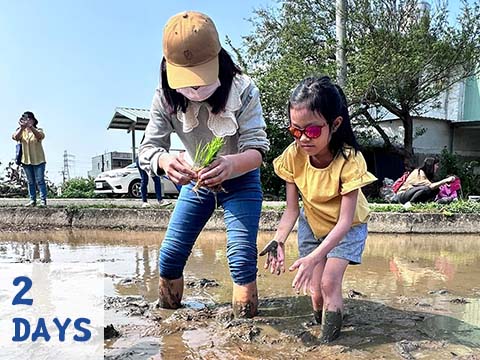 魚菜共生農村體驗+西湖藍眼淚+油桐花2日