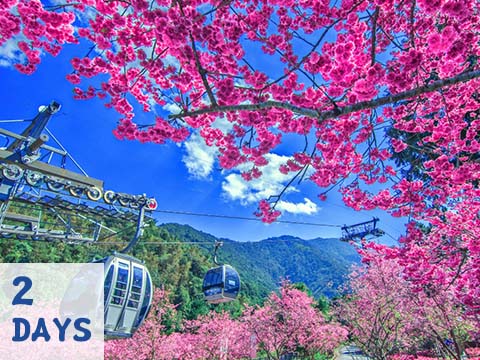九族櫻花+台版羊角村2日