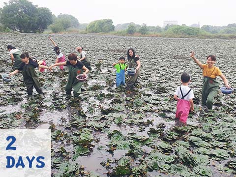 季節限定採菱角+台南安平運河2日