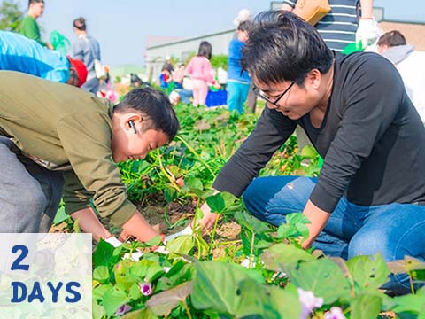 台南春耕農作+抓泥鰍體驗2日