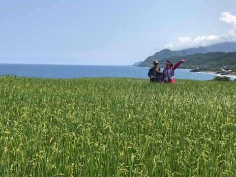 蘭嶼尬上台東3日之旅